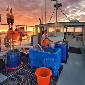 Meet your Posher, Ermino